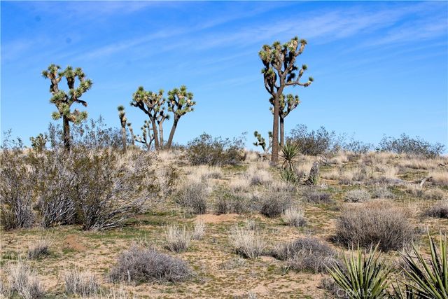 40 AC La Brisa Drive, Yucca Valley, CA 92284