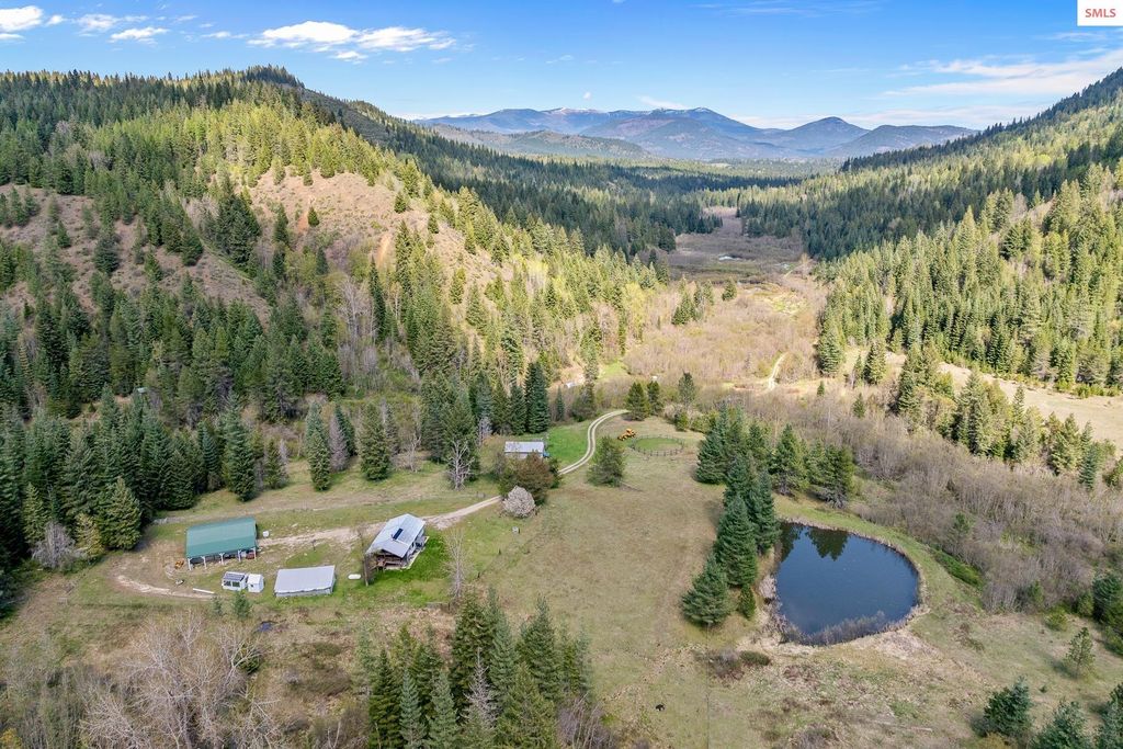 1791 Pup Paw Trail, Priest River, ID 83856
