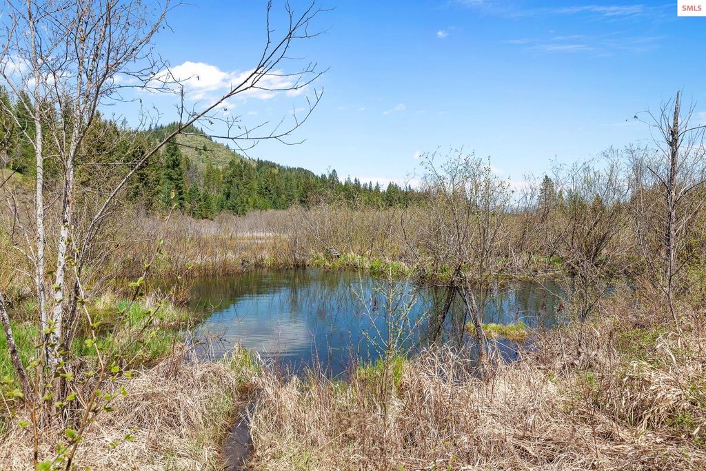 1791 Pup Paw Trail, Priest River, ID 83856 photo 39