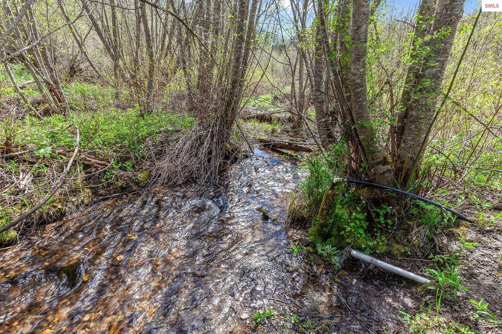1791 Pup Paw Trail, Priest River, ID 83856 photo 40