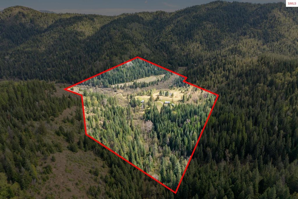1791 Pup Paw Trail, Priest River, ID 83856 photo 44