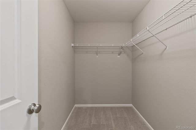 3793 Happyheart Way, Castle Rock, CO 80109