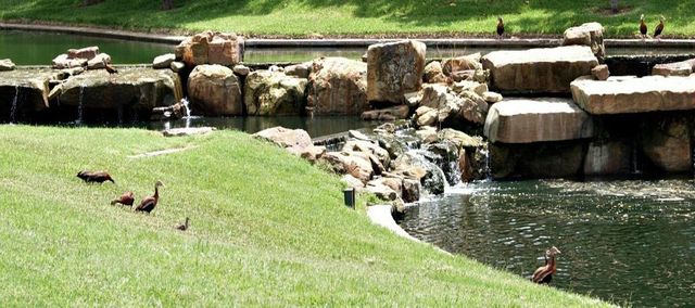 5315 Ridgewood Reef, Houston, TX 77041