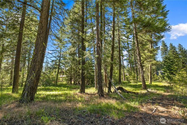 110 Wood Rose Court, Cle Elum, WA 98922