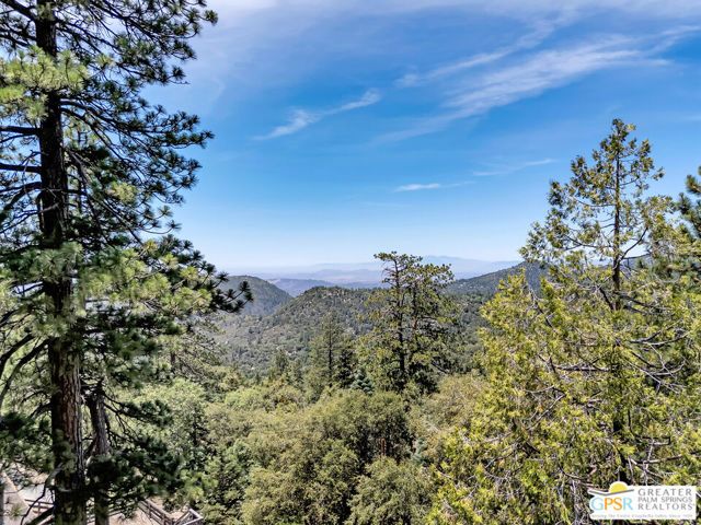 23971 Skyview Drive, Idyllwild, CA 92549