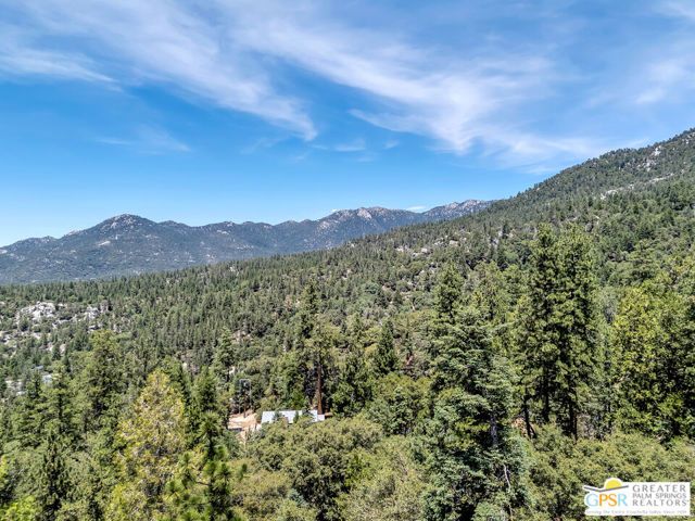 23971 Skyview Drive, Idyllwild, CA 92549