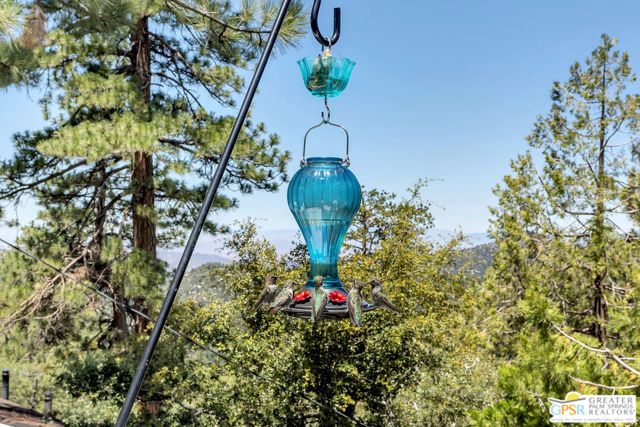 23971 Skyview Drive, Idyllwild, CA 92549