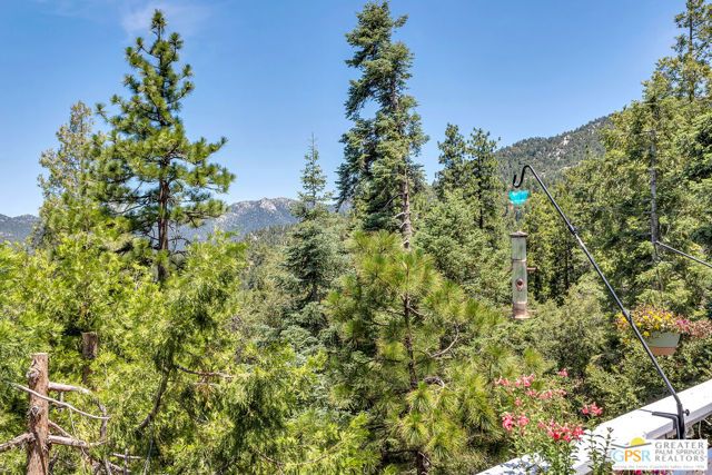 23971 Skyview Drive, Idyllwild, CA 92549