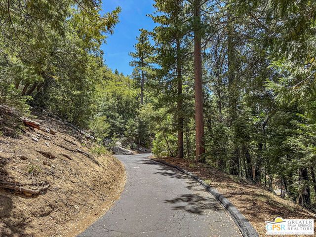 23971 Skyview Drive, Idyllwild, CA 92549