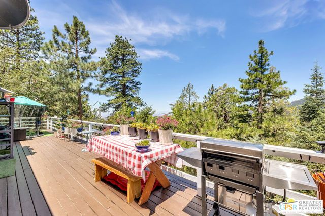 23971 Skyview Drive, Idyllwild, CA 92549