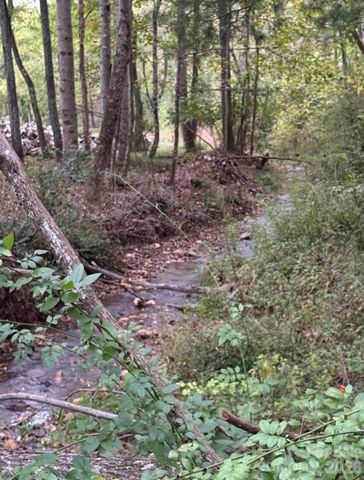 132 Hurd Road, Canton, NC 28716