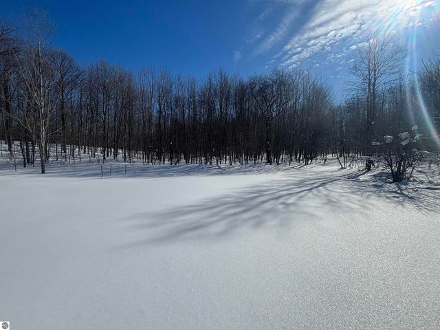 5884 Scholl Road, Mancelona, MI 49659