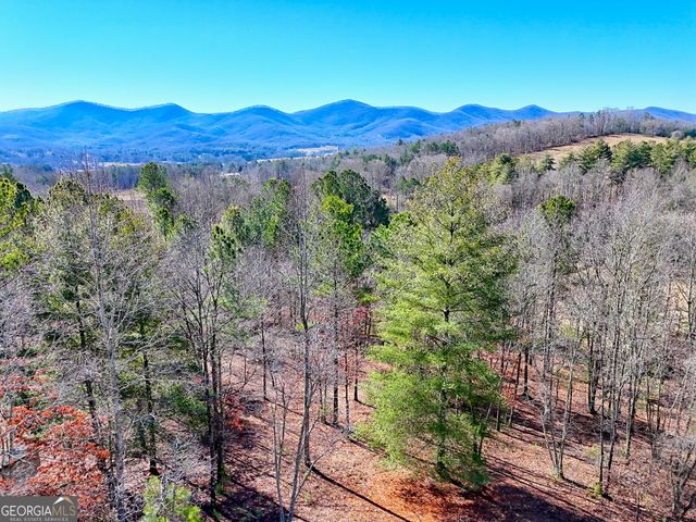436 Tree Line Drive, Blairsville, GA 30512