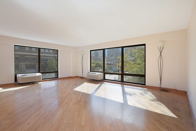 1169 S Plymouth Court 301, Chicago, IL 60605