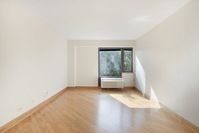 1169 S Plymouth Court 301, Chicago, IL 60605