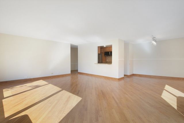 1169 S Plymouth Court 301, Chicago, IL 60605