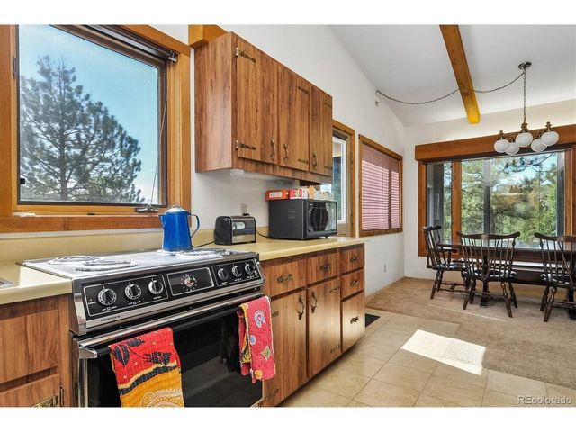 18480 Morrison Creek Cir, Buena Vista, CO 81211