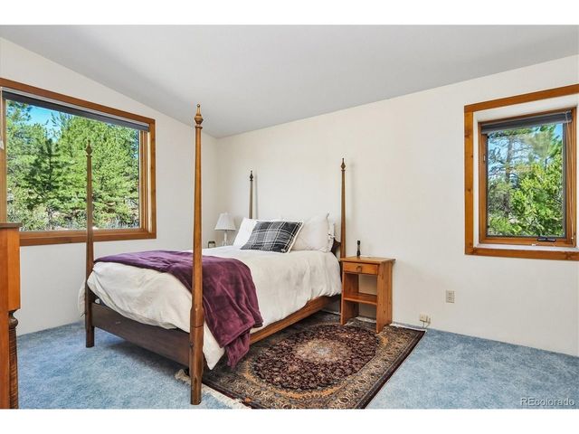 18480 Morrison Creek Cir, Buena Vista, CO 81211