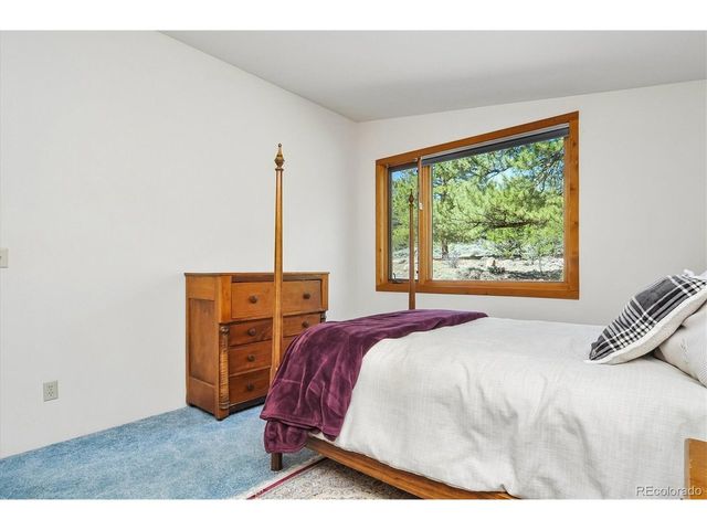 18480 Morrison Creek Cir, Buena Vista, CO 81211