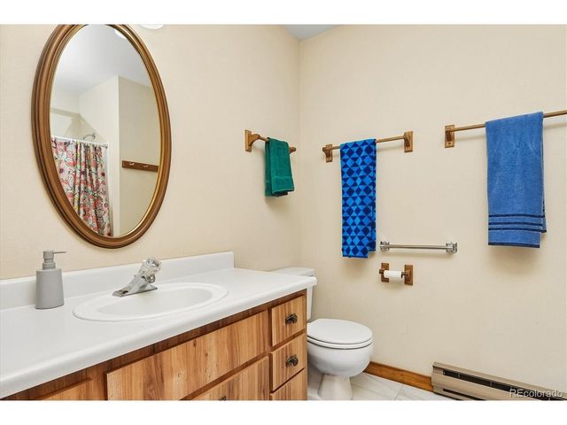 18480 Morrison Creek Cir, Buena Vista, CO 81211