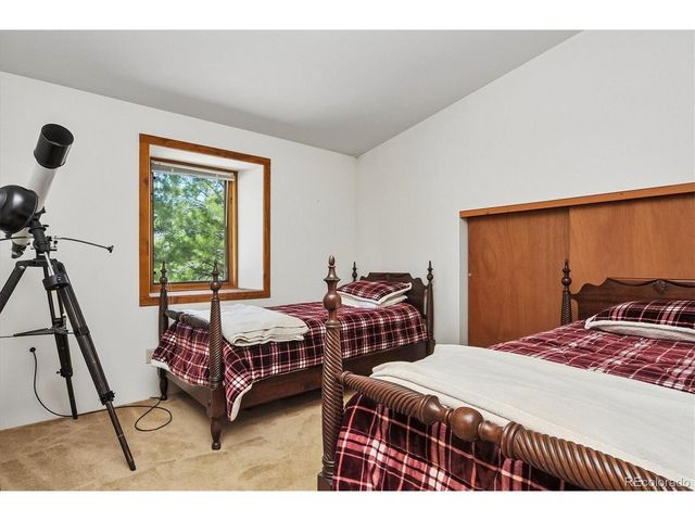 18480 Morrison Creek Cir, Buena Vista, CO 81211