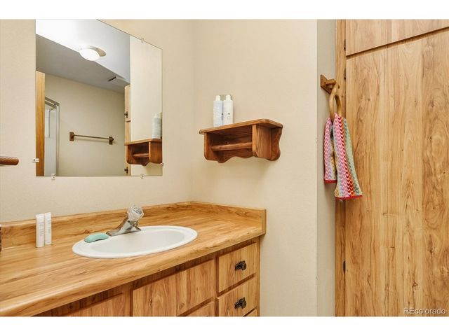 18480 Morrison Creek Cir, Buena Vista, CO 81211