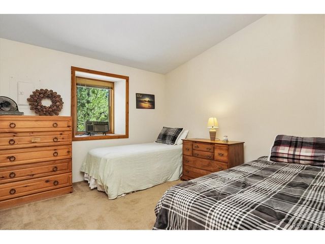 18480 Morrison Creek Cir, Buena Vista, CO 81211