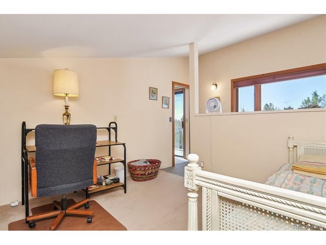 18480 Morrison Creek Cir, Buena Vista, CO 81211