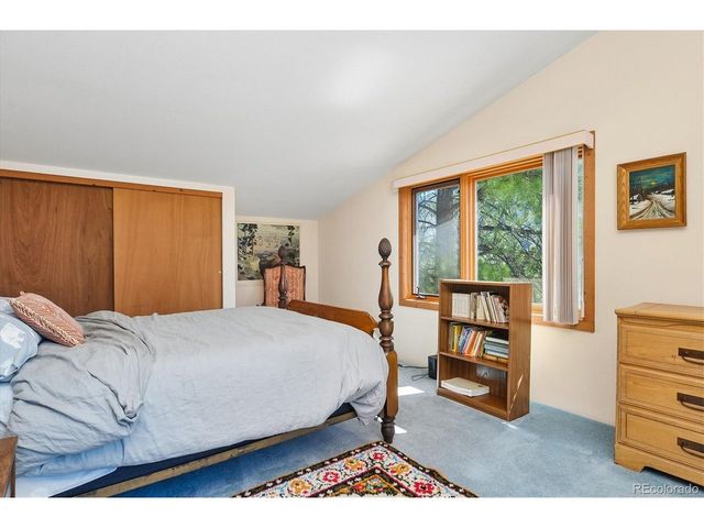 18480 Morrison Creek Cir, Buena Vista, CO 81211