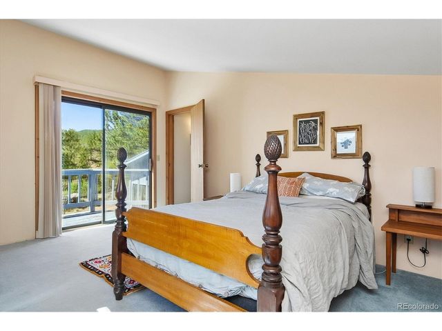 18480 Morrison Creek Cir, Buena Vista, CO 81211