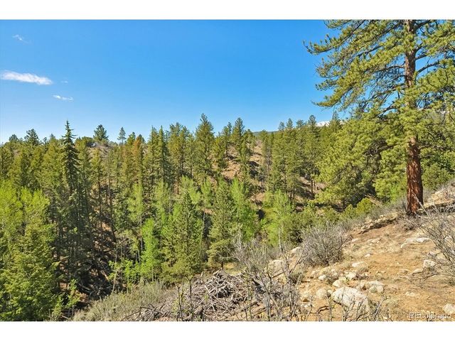 18480 Morrison Creek Cir, Buena Vista, CO 81211