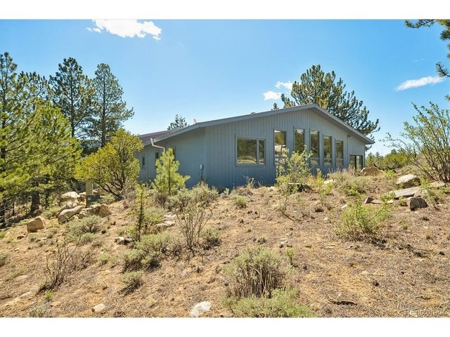 18480 Morrison Creek Cir, Buena Vista, CO 81211