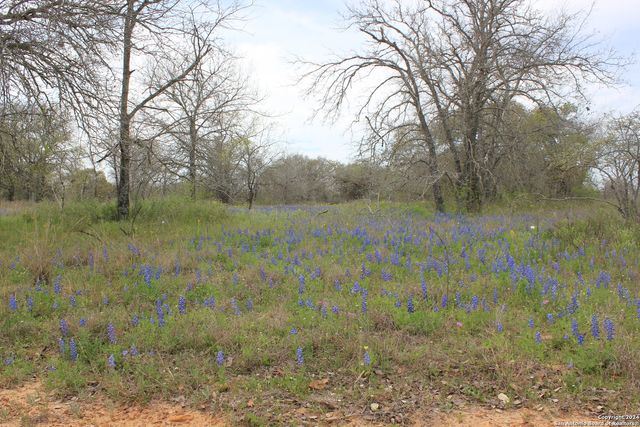 818 Encino Way, Natalia, TX 78059