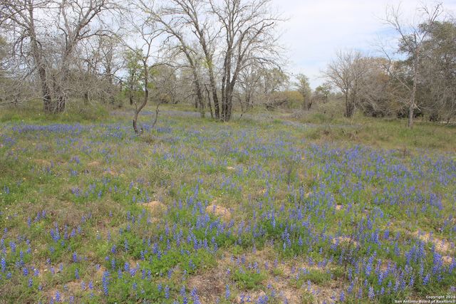 818 Encino Way, Natalia, TX 78059