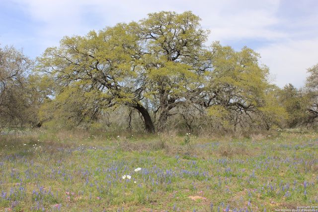818 Encino Way, Natalia, TX 78059