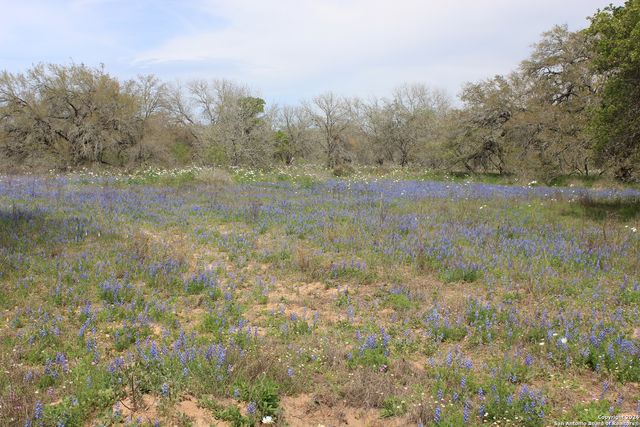 818 Encino Way, Natalia, TX 78059
