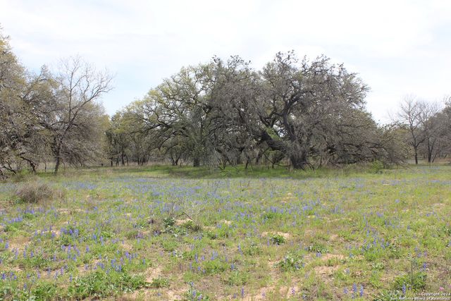 818 Encino Way, Natalia, TX 78059