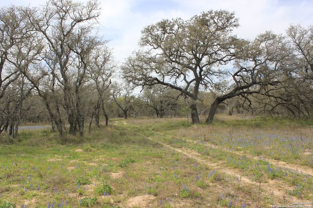 818 Encino Way, Natalia, TX 78059