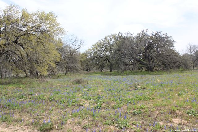 818 Encino Way, Natalia, TX 78059