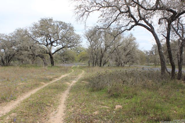 818 Encino Way, Natalia, TX 78059