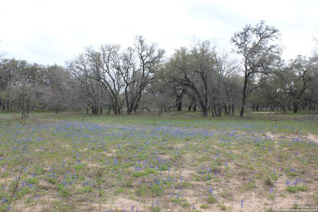 818 Encino Way, Natalia, TX 78059