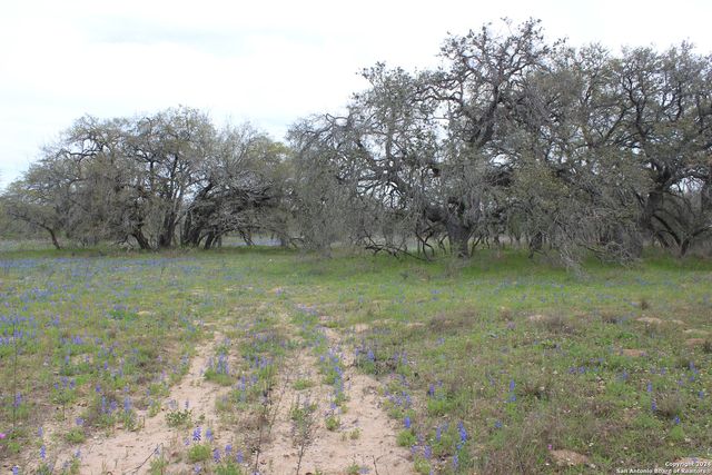 818 Encino Way, Natalia, TX 78059