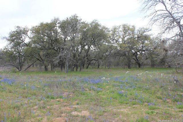 818 Encino Way, Natalia, TX 78059
