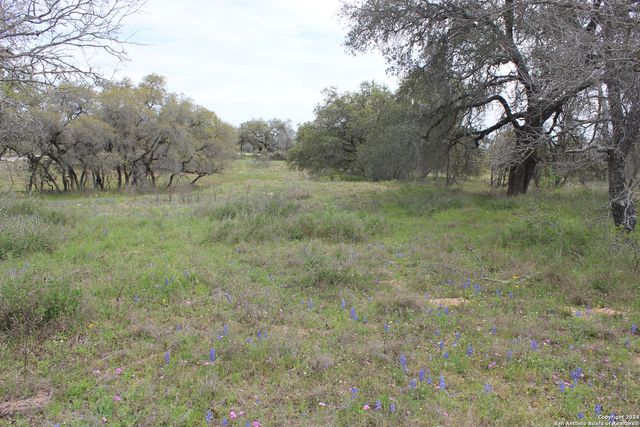 818 Encino Way, Natalia, TX 78059