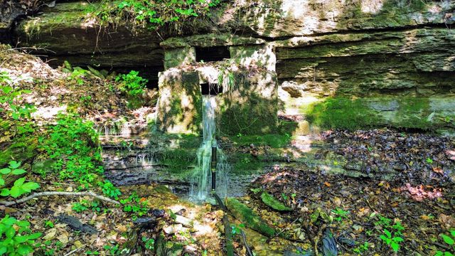 804 Ball Hollow Branch Rd, Lynnville, TN 38472