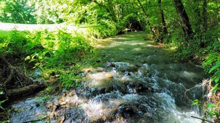 804 Ball Hollow Branch Rd, Lynnville, TN 38472