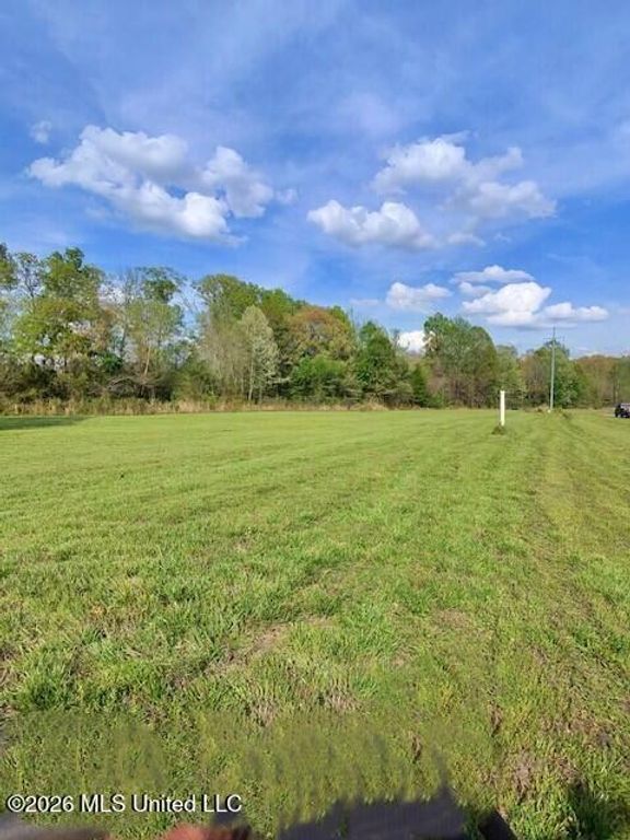 00 Miller Station Lane, Olive Branch, MS 38654 — photo 4