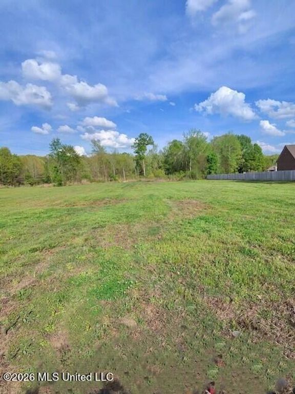 00 Miller Station Lane, Olive Branch, MS 38654 — photo 5