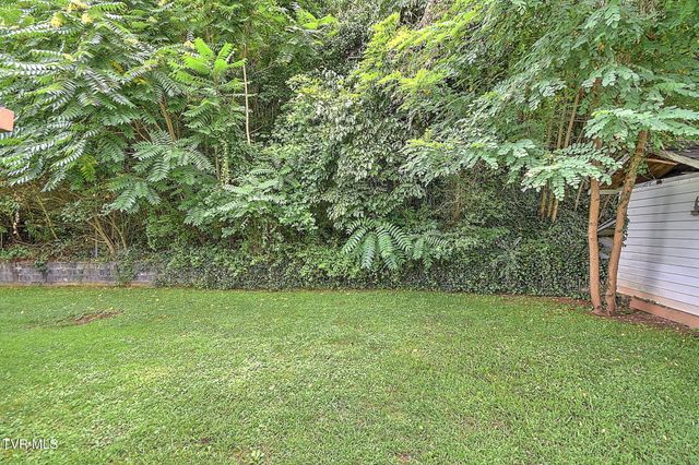 1747 Forest View Drive, Kingsport, TN 37660