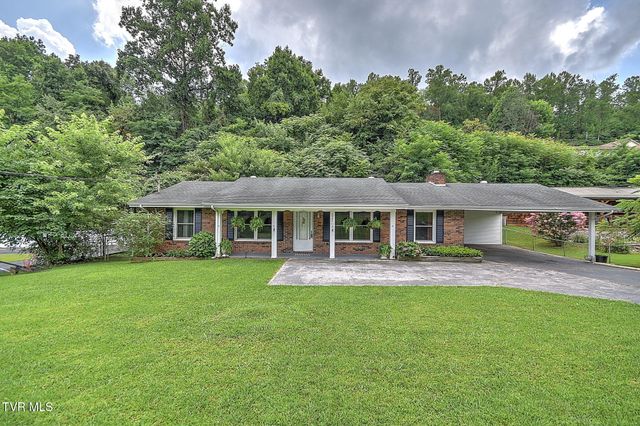 1747 Forest View Drive, Kingsport, TN 37660